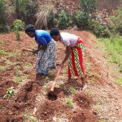 Agricultura regenerativa